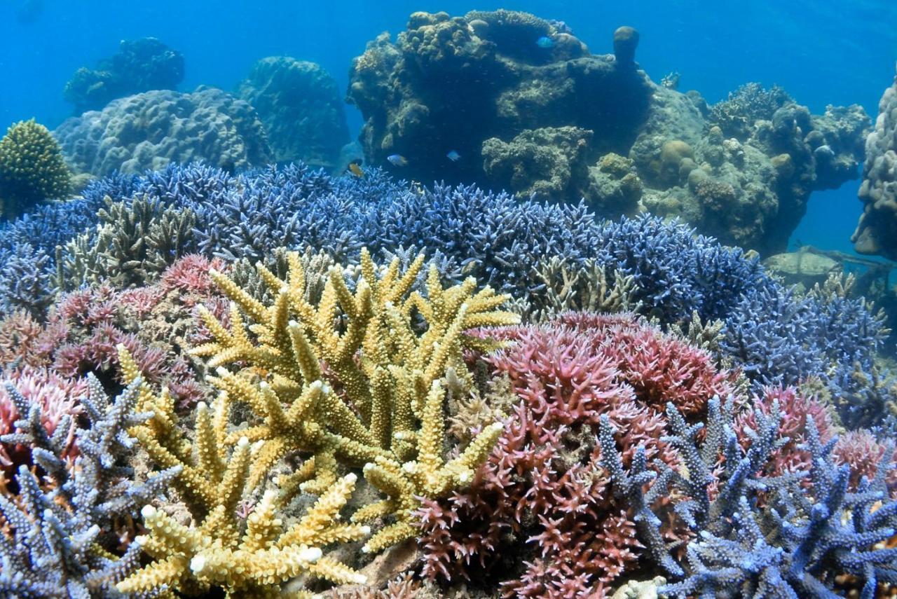 Hotel Alam Karang Gili Gede Zewnętrze zdjęcie