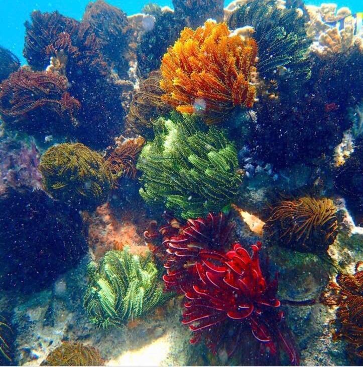 Hotel Alam Karang Gili Gede Zewnętrze zdjęcie